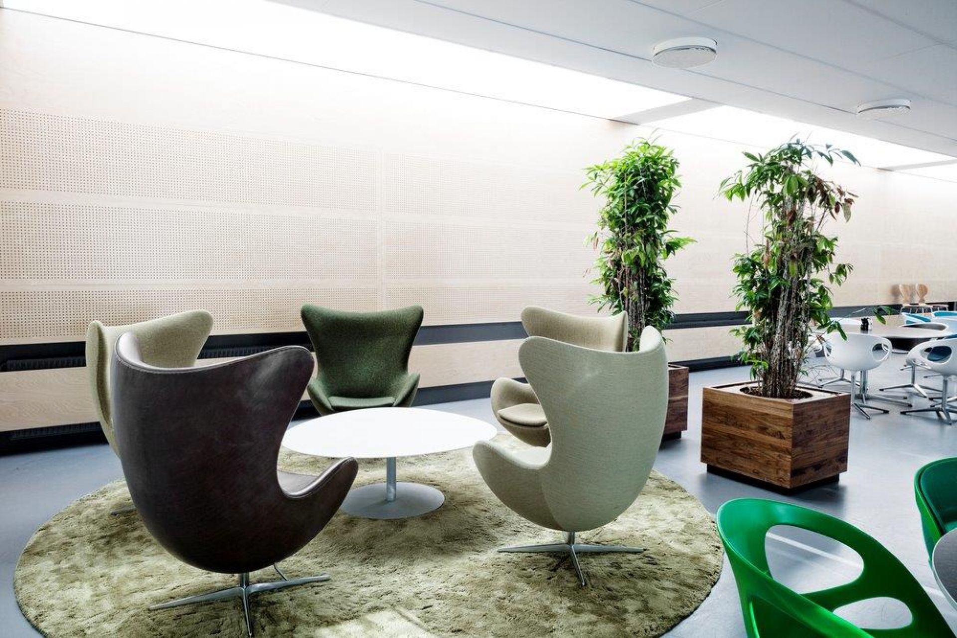Office egg chair 2025